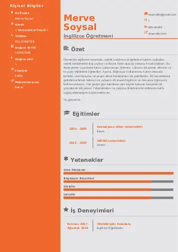 Yabancı Dil Öğretmeni Cv Örnekleri cv indir